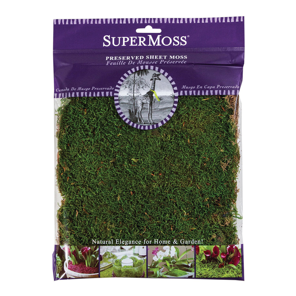 Sheet Moss Preserved Fresh Green 2oz Bag