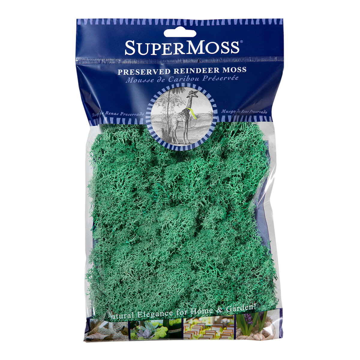 Reindeer Moss Preserved Mint 2oz Bag