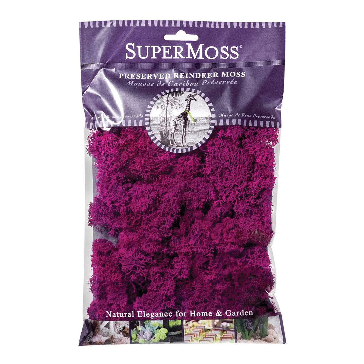 Reindeer Moss Preserved Fuchsia 2oz Bag