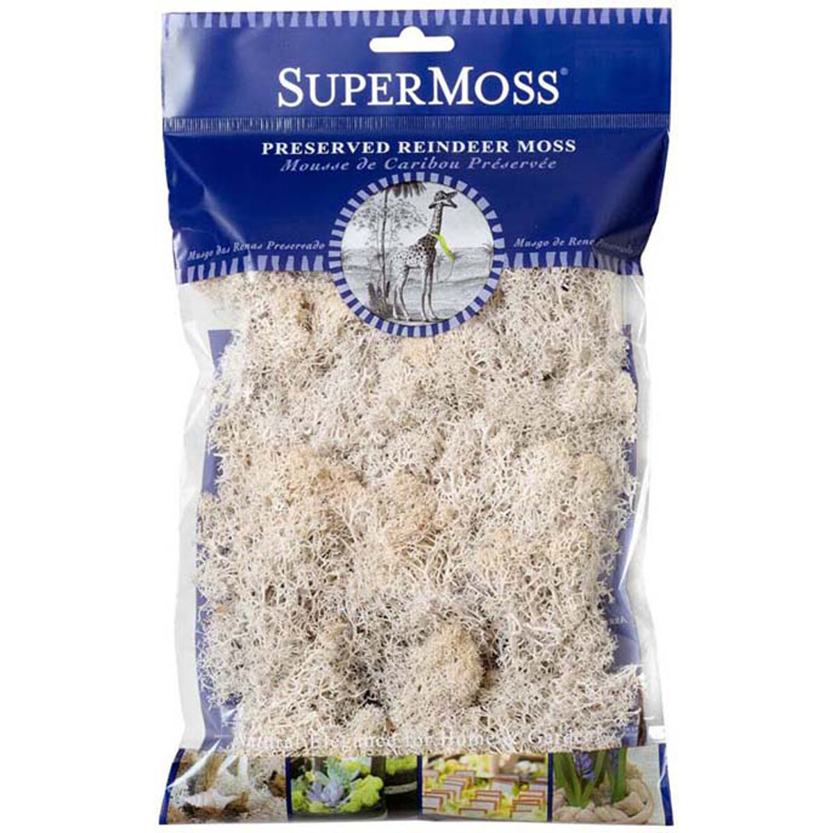Reindeer Moss Preserved White 2oz Bag