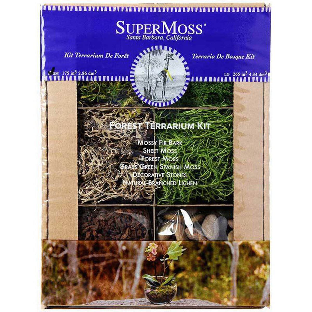 Terrarium Kit Forest 4oz Display Box