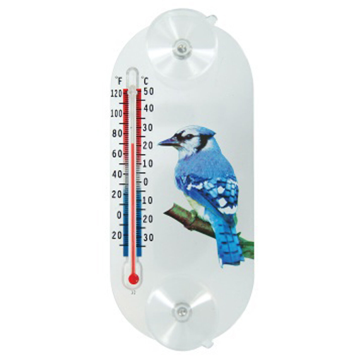 Blue Jay In/Out Suction Cup Window Thermometer