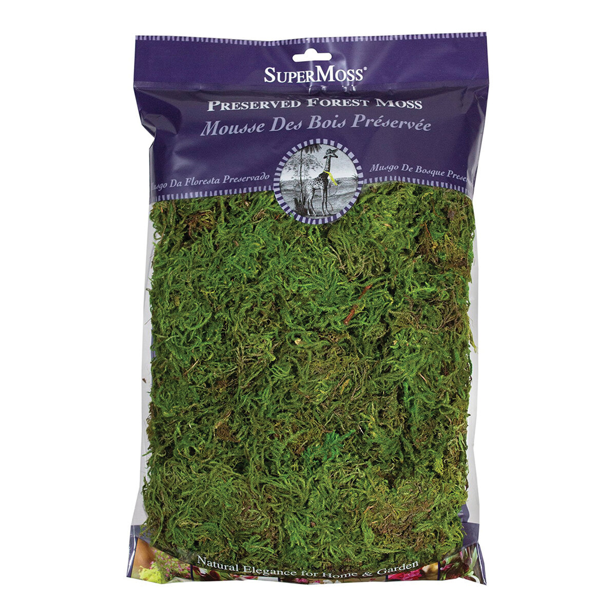 Forest Moss Preserved Fresh Green 8oz Bag