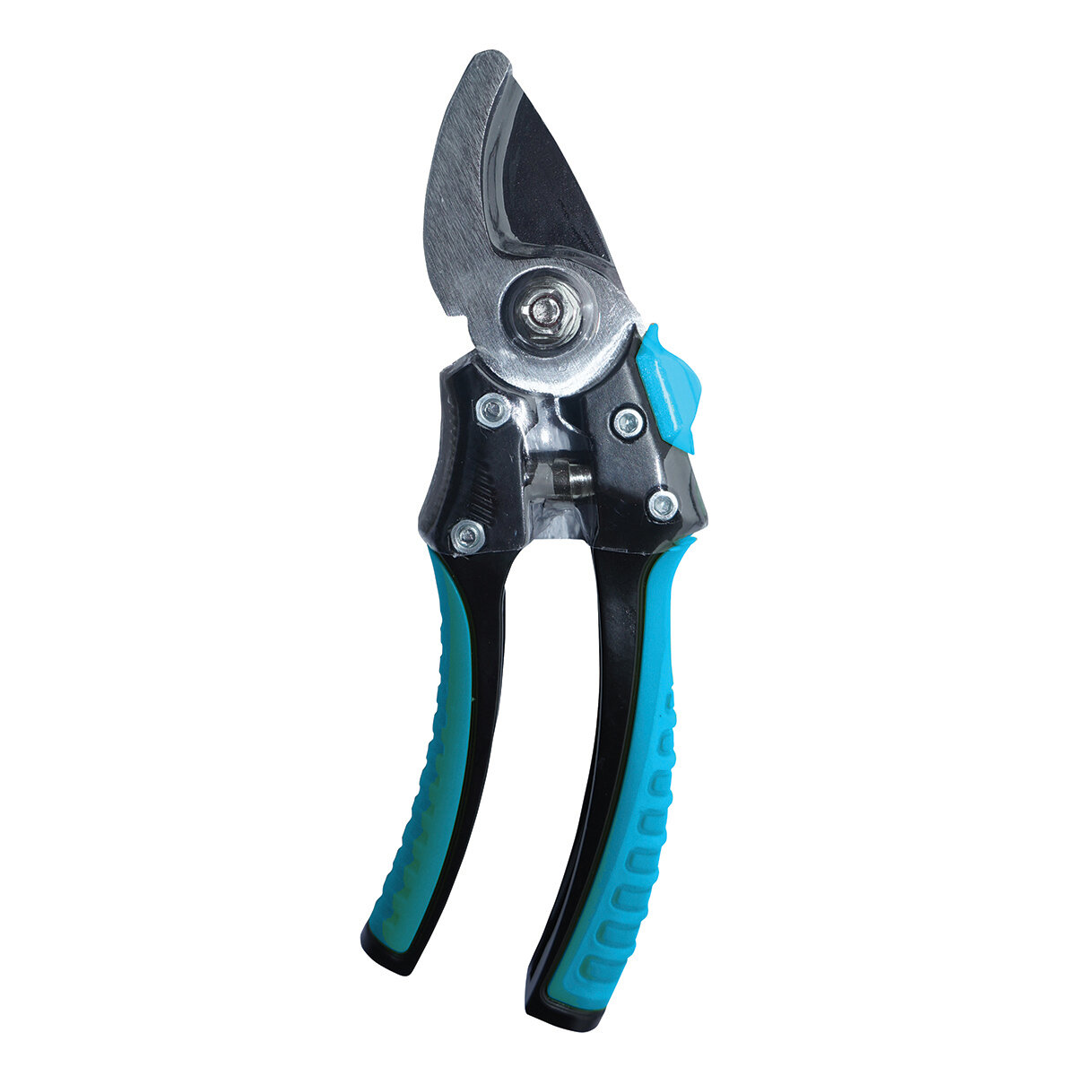 Bloom Bypass Pruner
