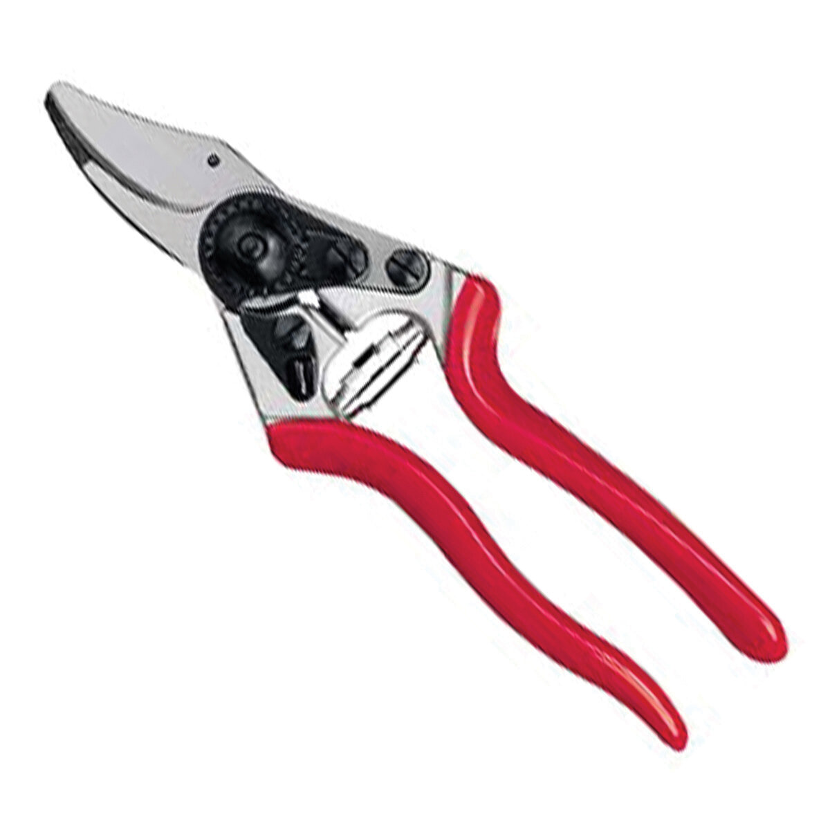 Felco Pruner #6