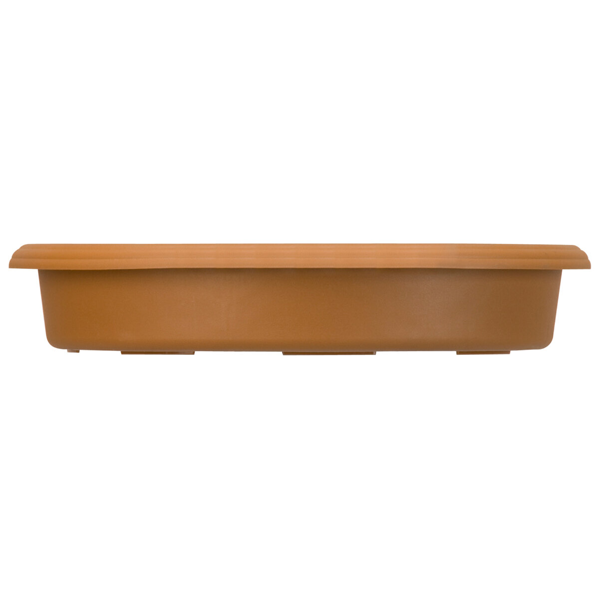 6" Panterra Saucer Clay