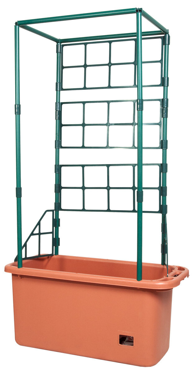 Tomato Trellis