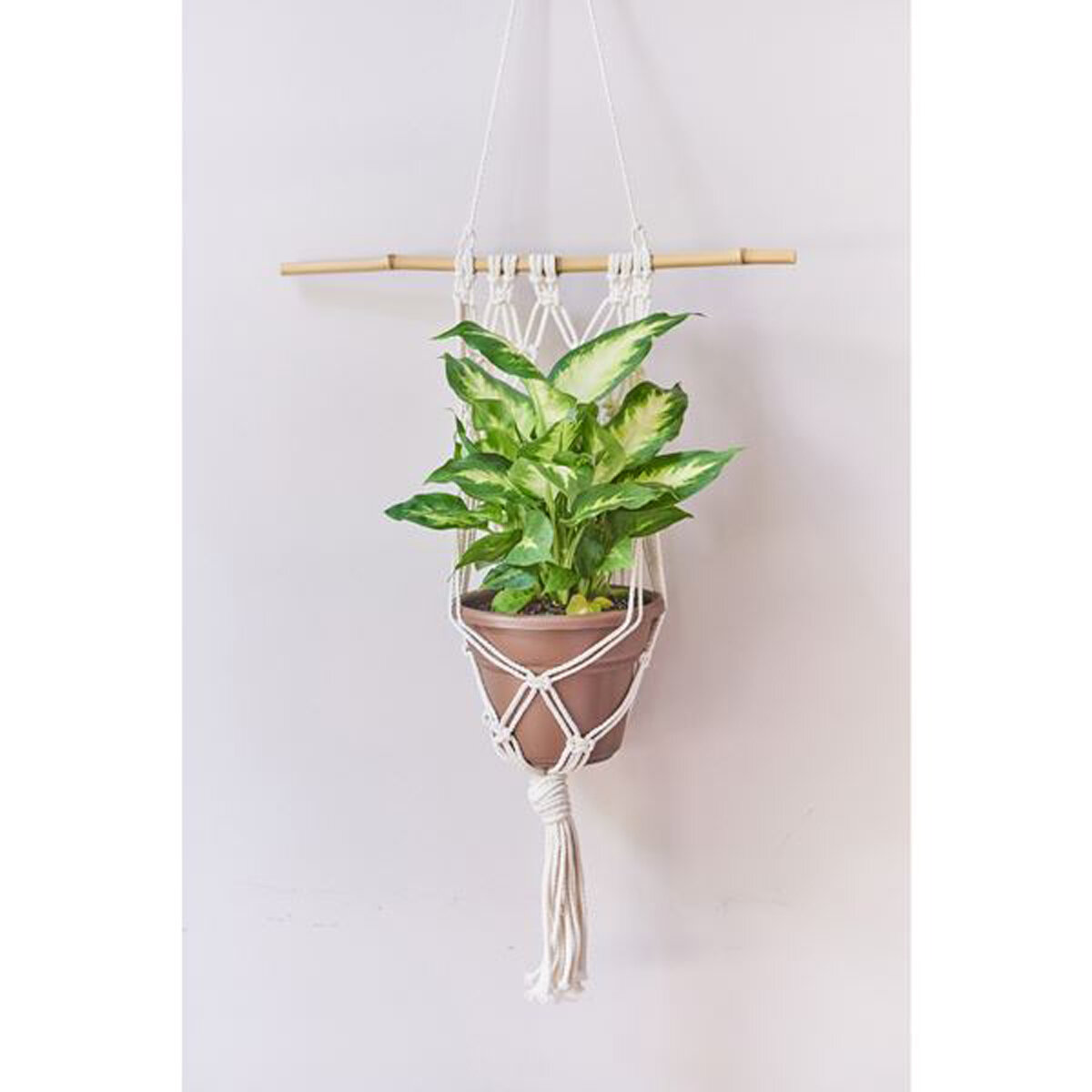 Large Wall Planter