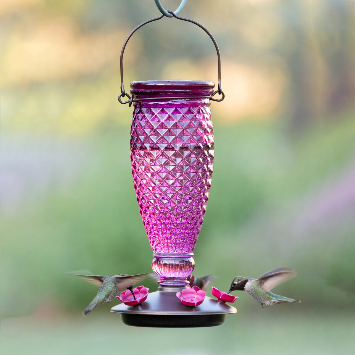 Diamond Wine Top Fill  HB Feeder 24 oz