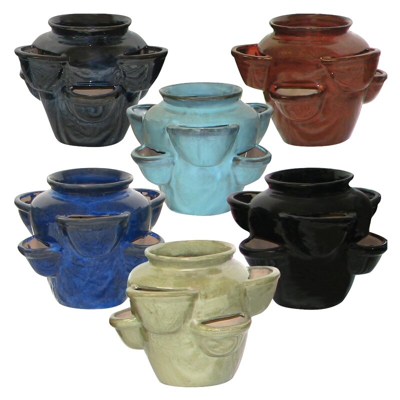 Strawberry Pot Pallet Assmt(6 Of Each Color) 36Pcs Strawberry Pot Pallet Assmt(6 Of Each Color) 36Pcs
