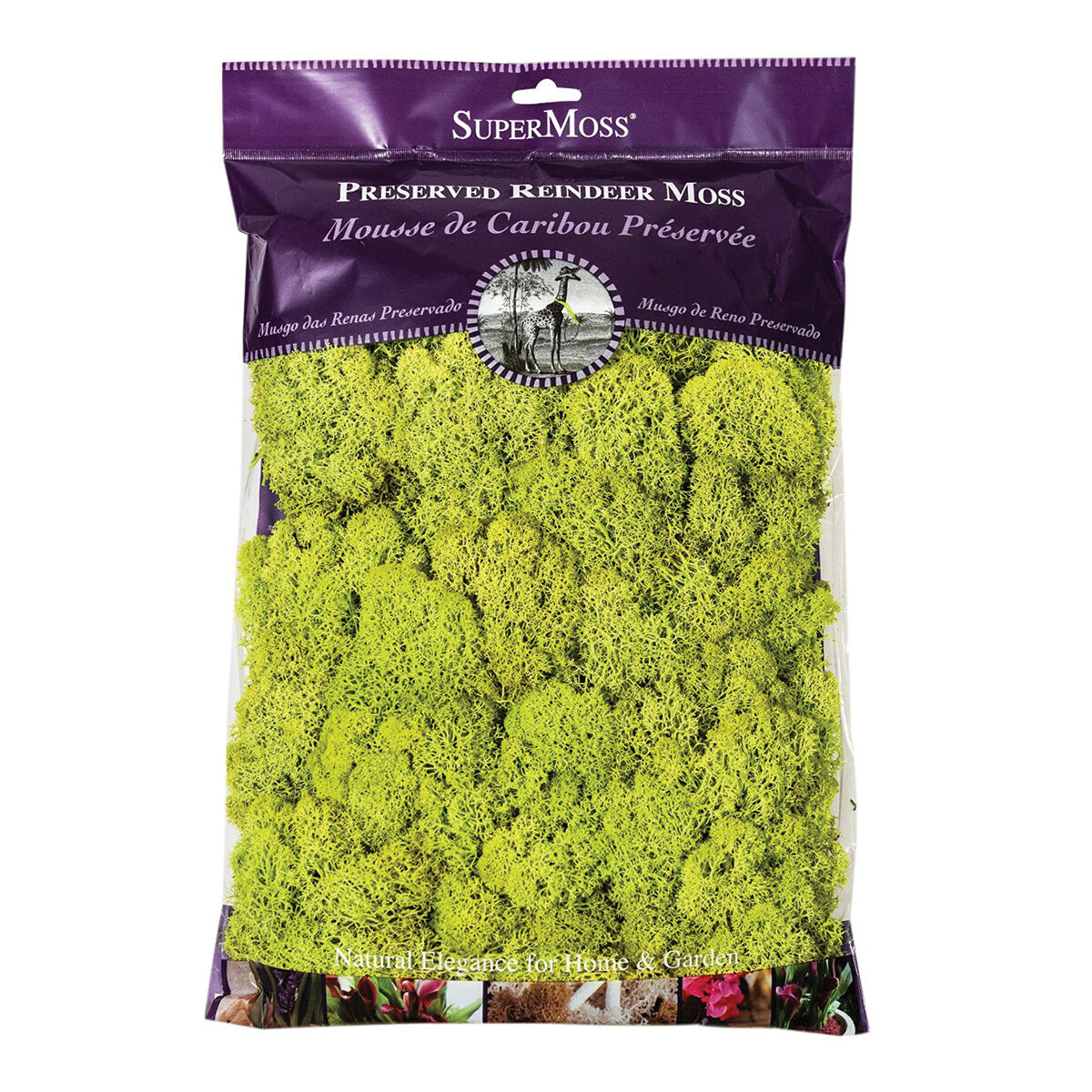 Reindeer Moss Preserved Chartreuse 8oz Bag