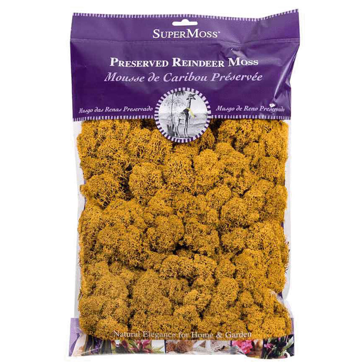Reindeer Moss Preserved Mango 8oz Bag
