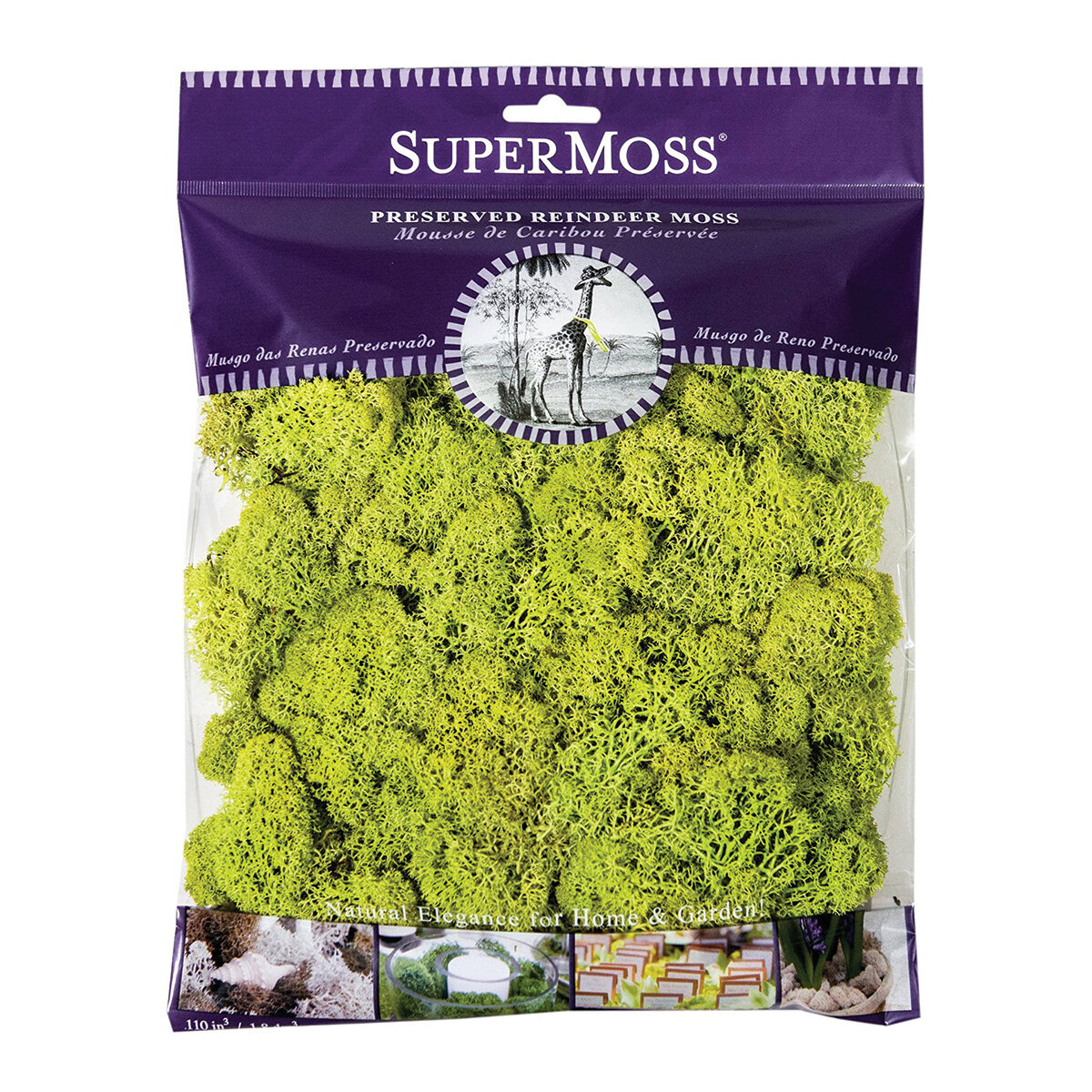 Reindeer Moss Preserved Chartreuse 4oz Bag