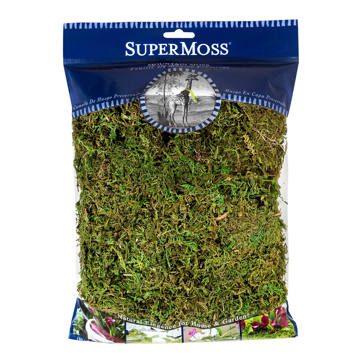 Mountain Moss Preserved - Fresh Green Bag 4 Oz
