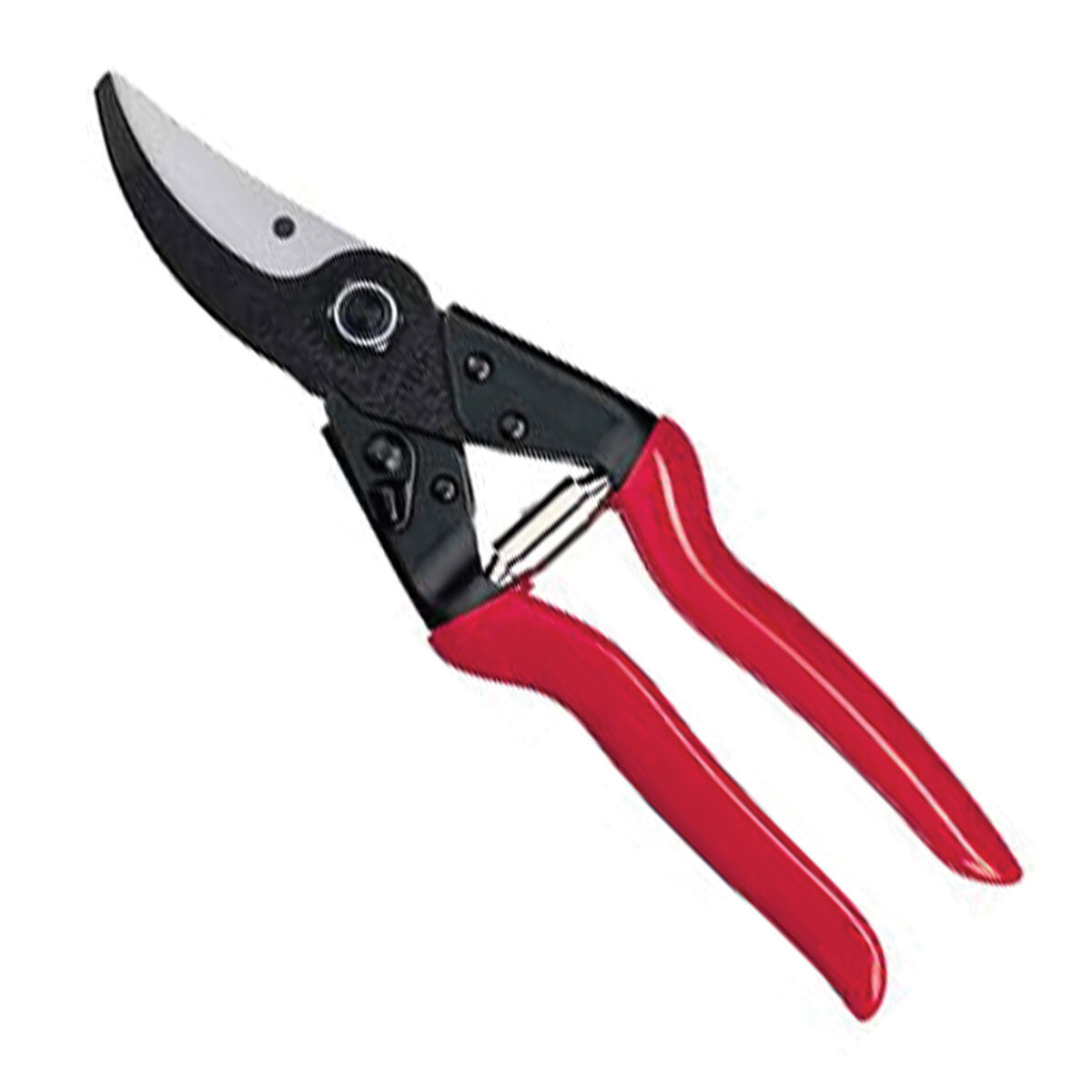 Felco Pruner #5