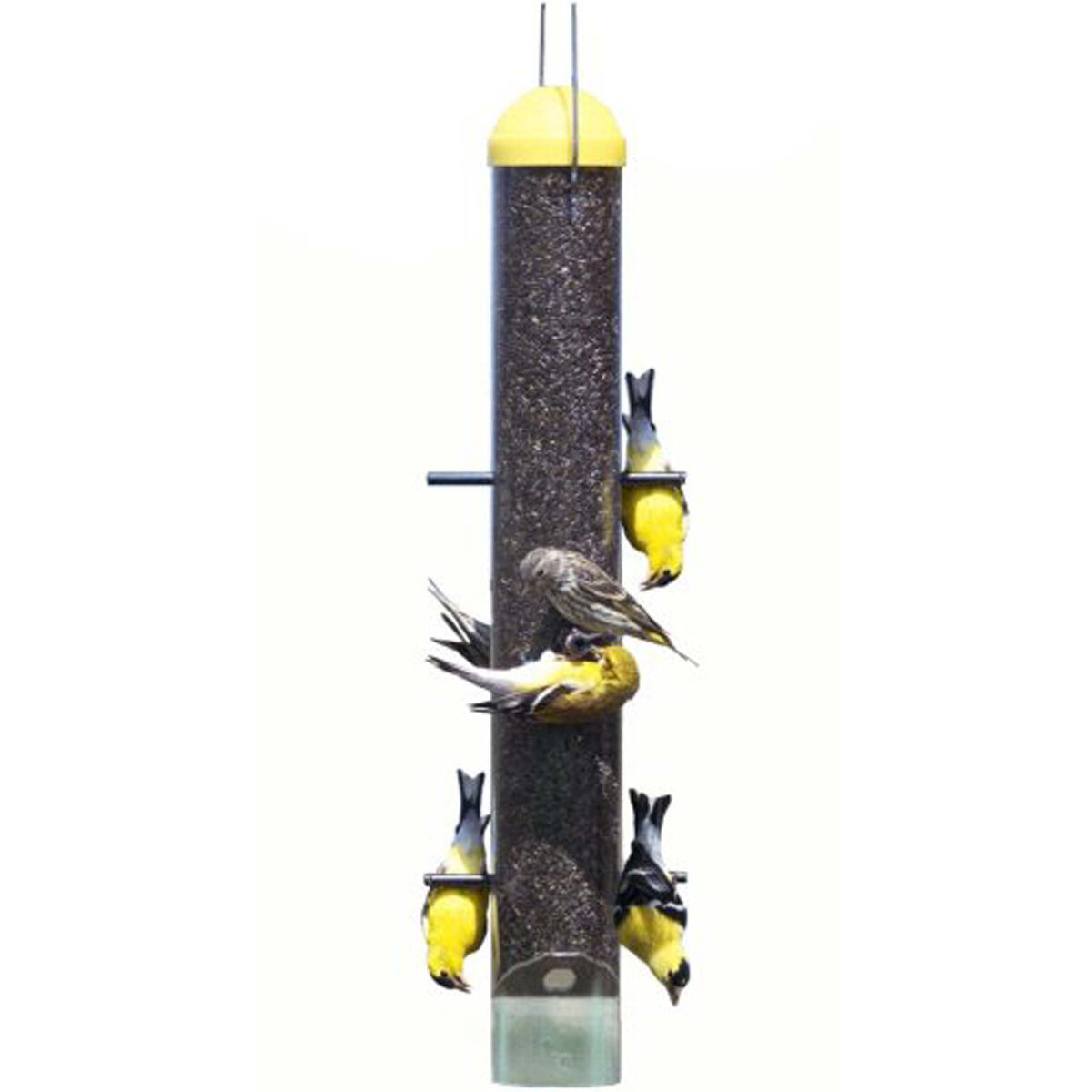 Upside Down Gld Finch Feeder