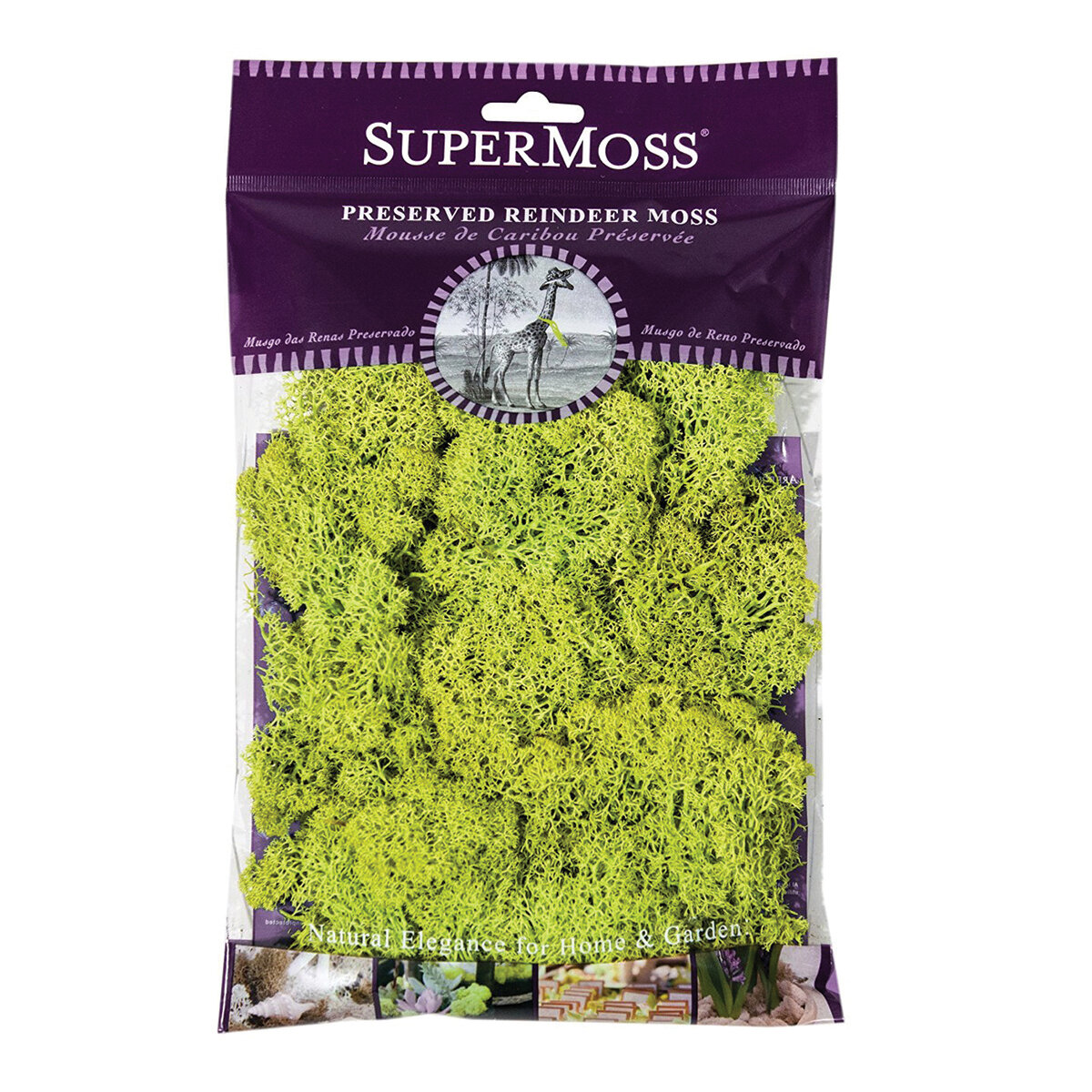 Reindeer Moss Preserved Chartreuse 2oz Bag