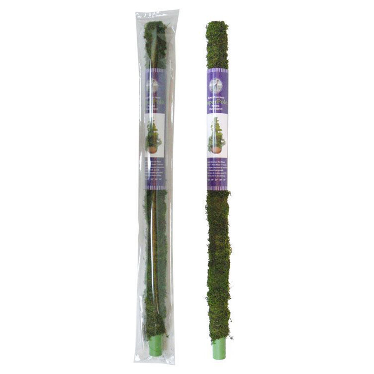 Moss Pole Preserved Fresh Green 24in