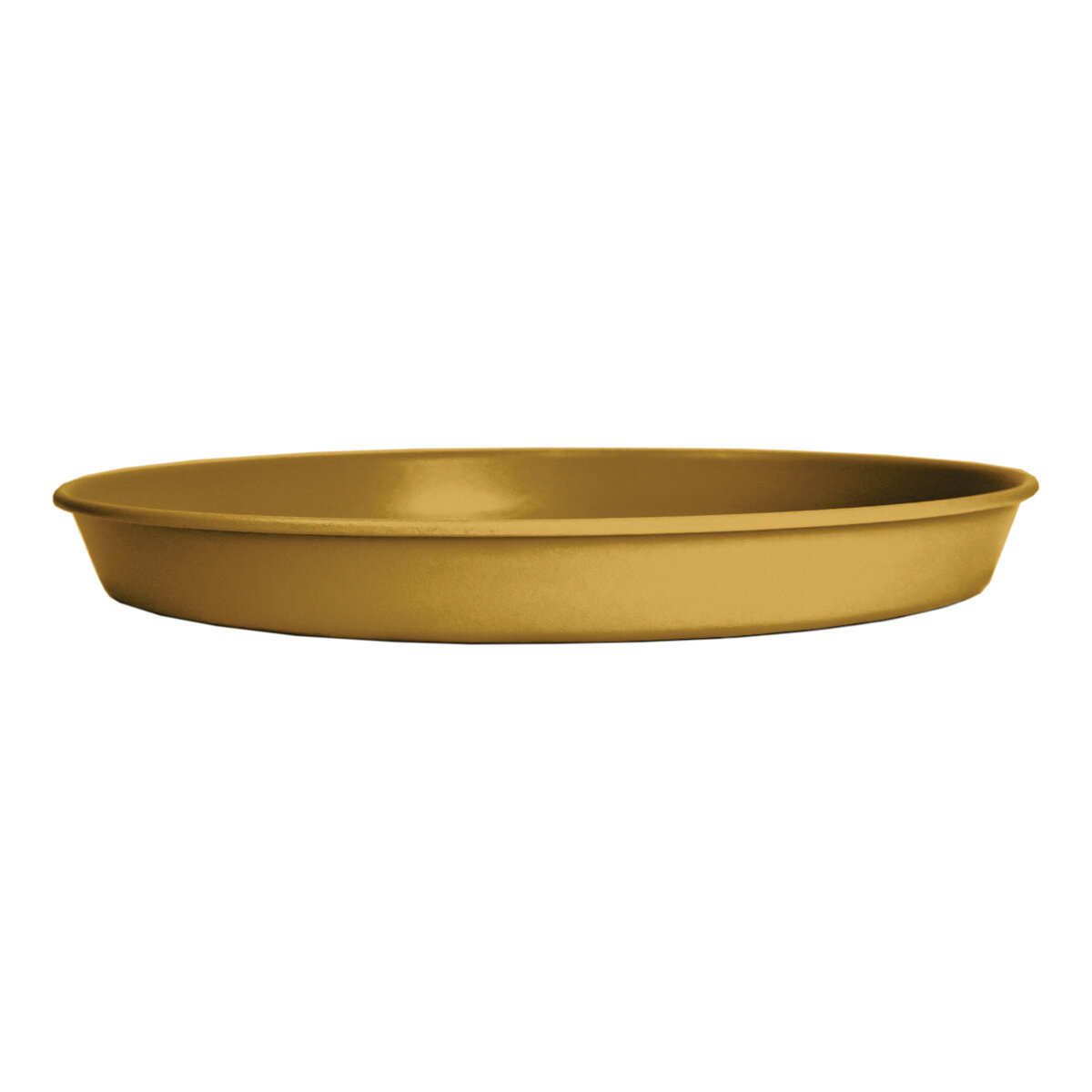 6" Prima Saucer in Honey