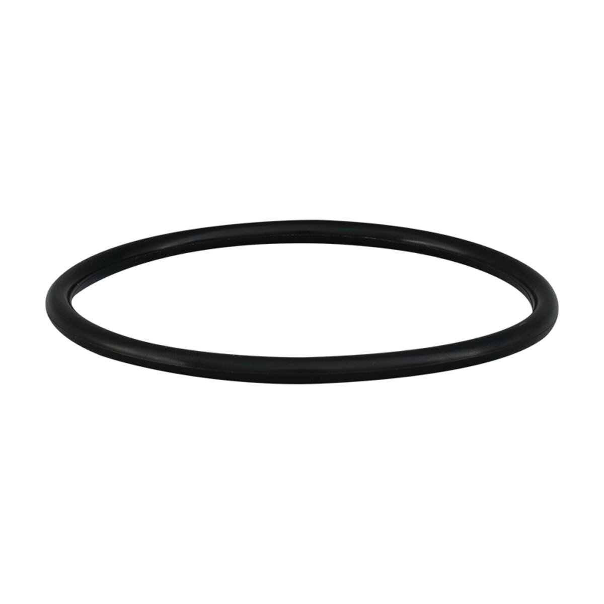 Merlin / RO/Evol Sump Housing O-ring only