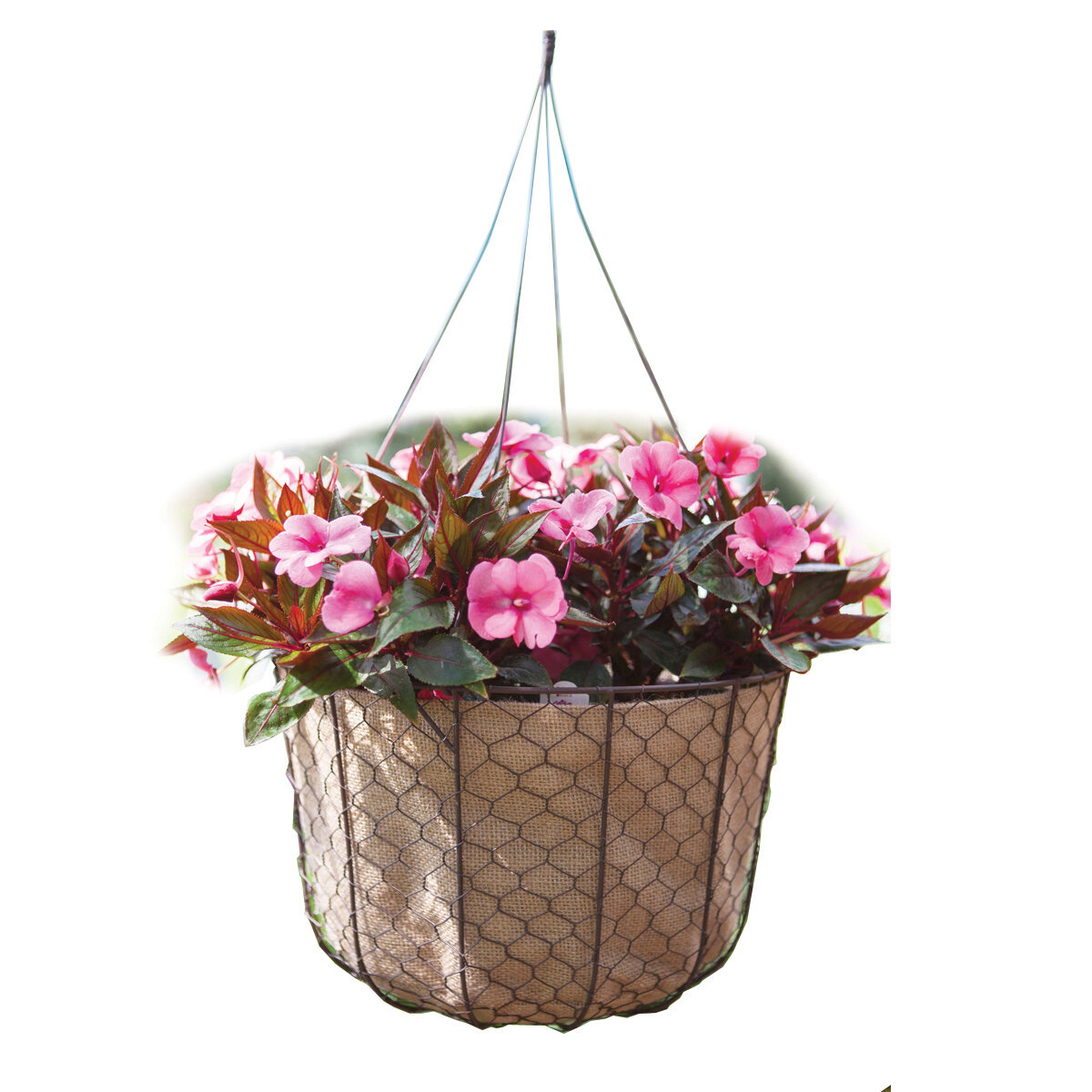 Grower Rustic Hanging Basket with wire 12"