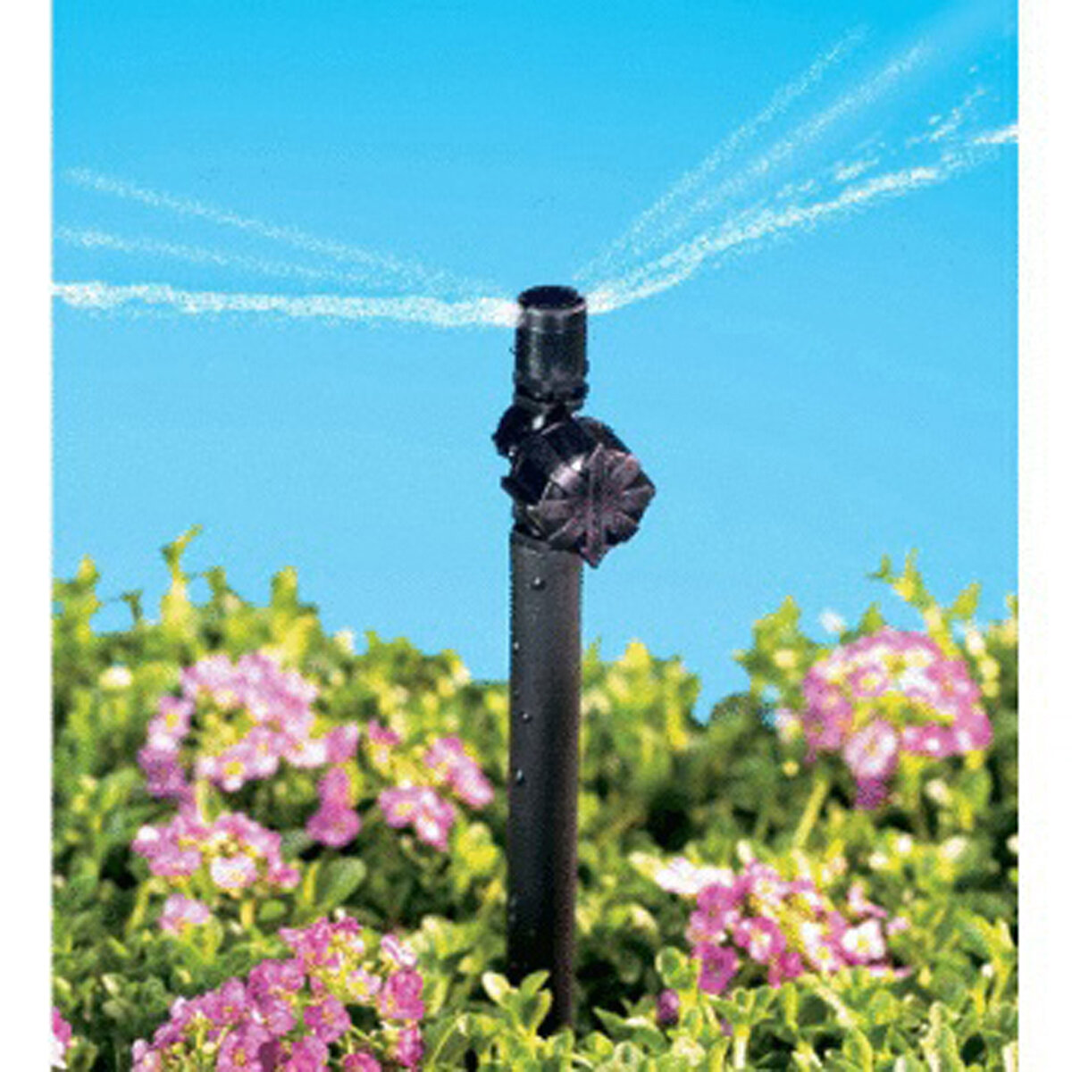 Bow Tie Strip Adjustable Sprayer 5 Per Card