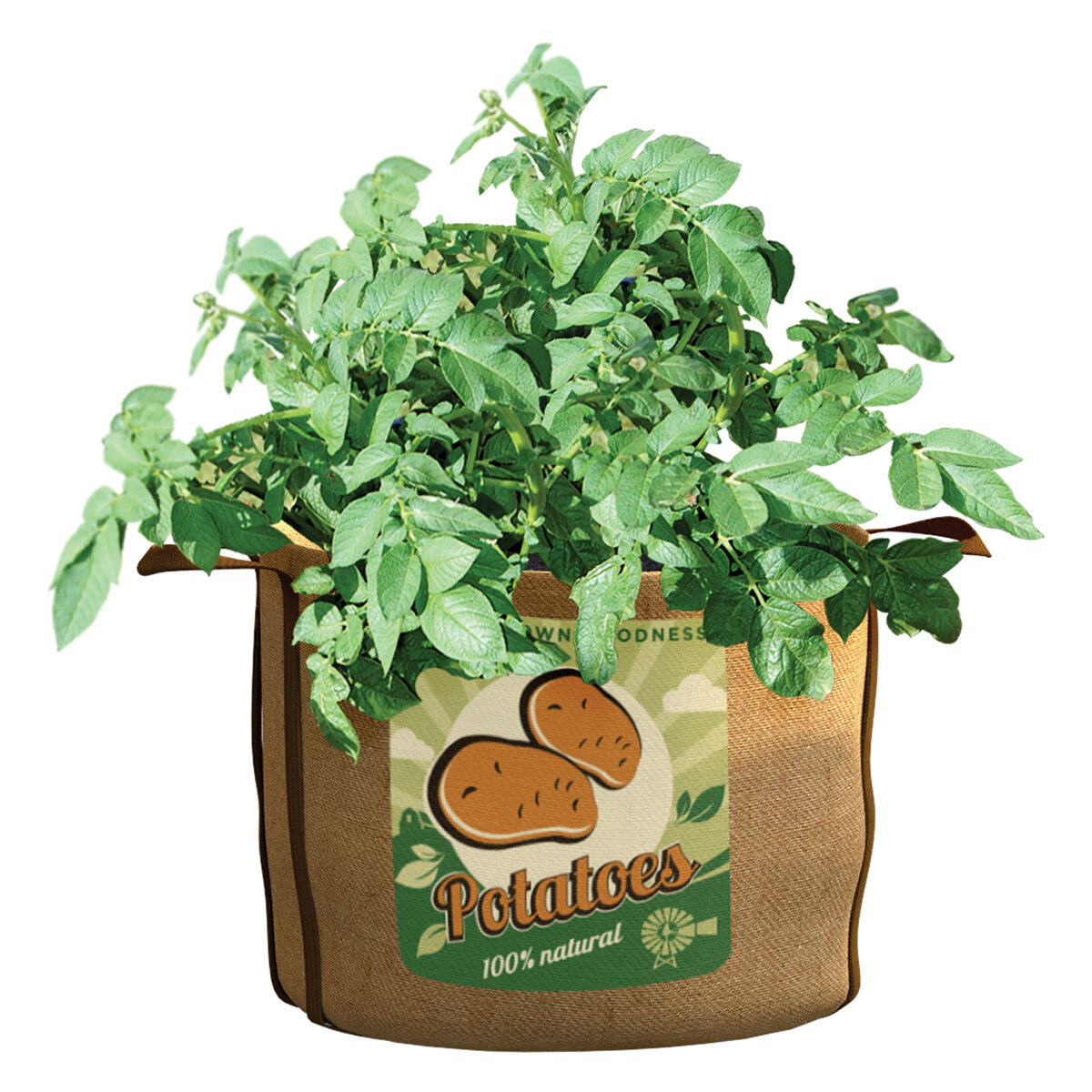 Potatoes Grow Bag 30 Gal