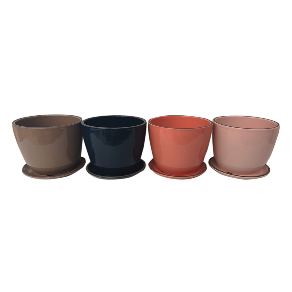 Bombay 15cm Indoor DS (72pc)