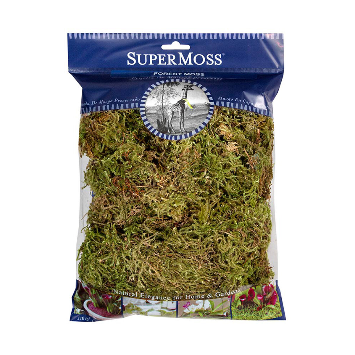 Forest Moss Dried Natural Green 4oz Bag