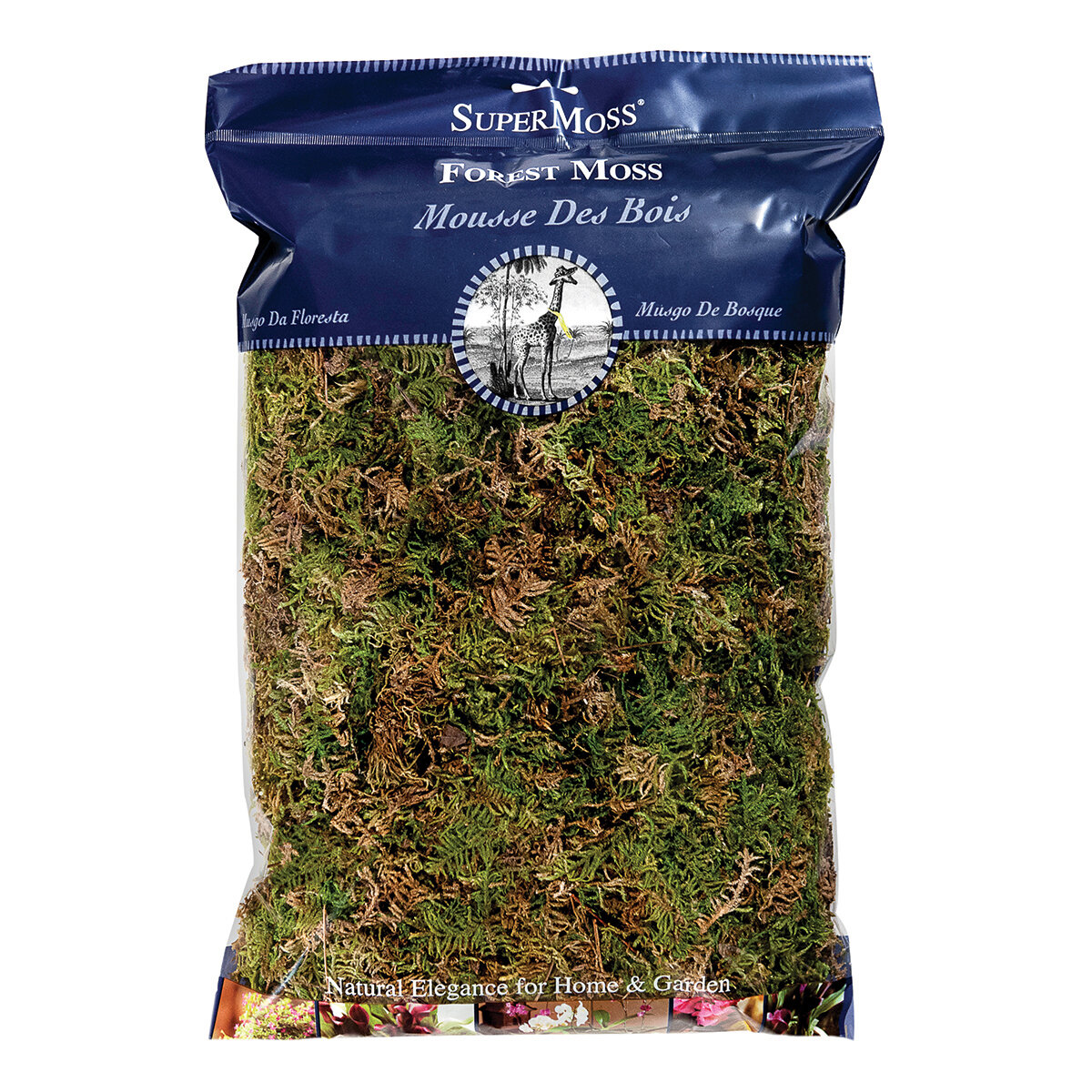 Forest Moss Dried Natural Green 8oz Bag