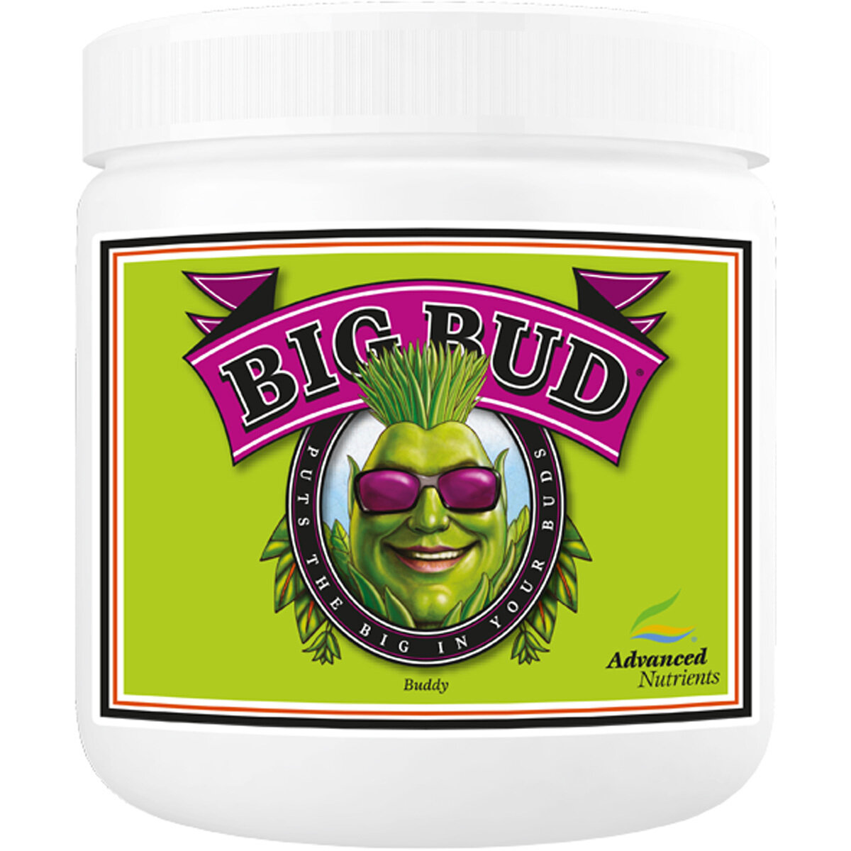 Big Bud Powder 1kg