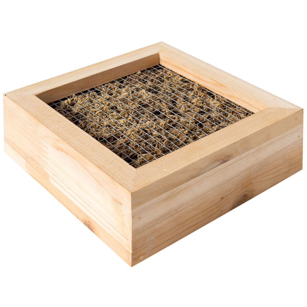 Sphagnum Moss Living Frame Natural 6" x 6" Frame