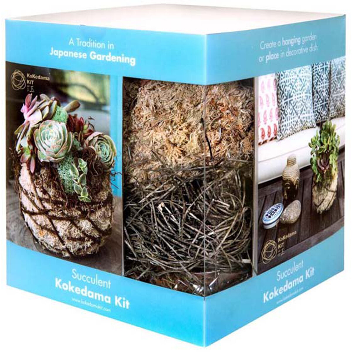 Kokedama Kit Succulent 6" Diameter