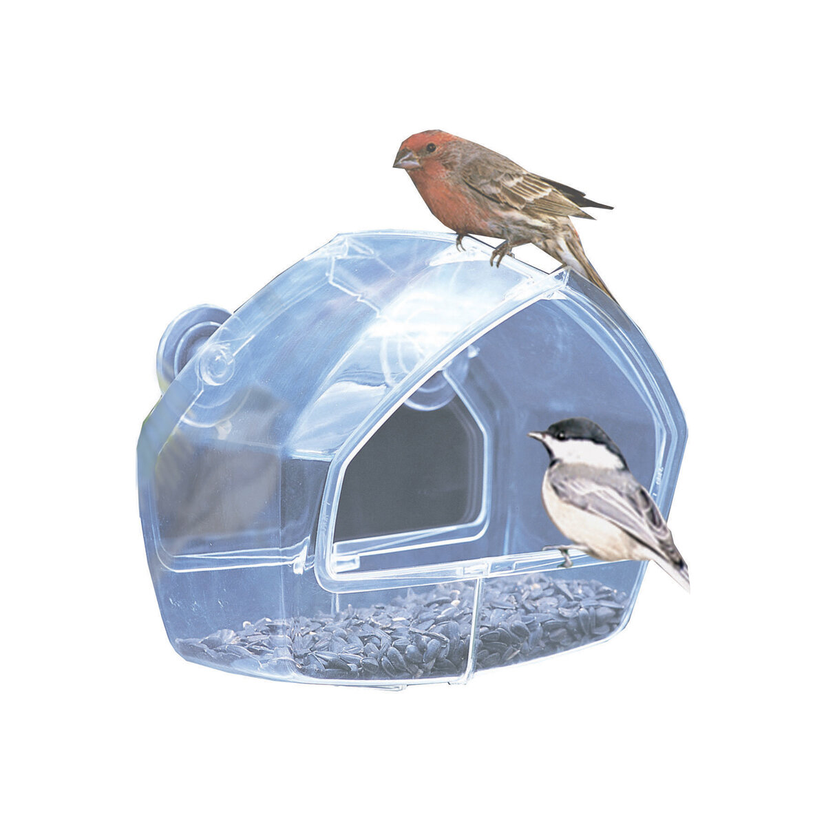 Window Mount Bird Feeder-Clear Plastic