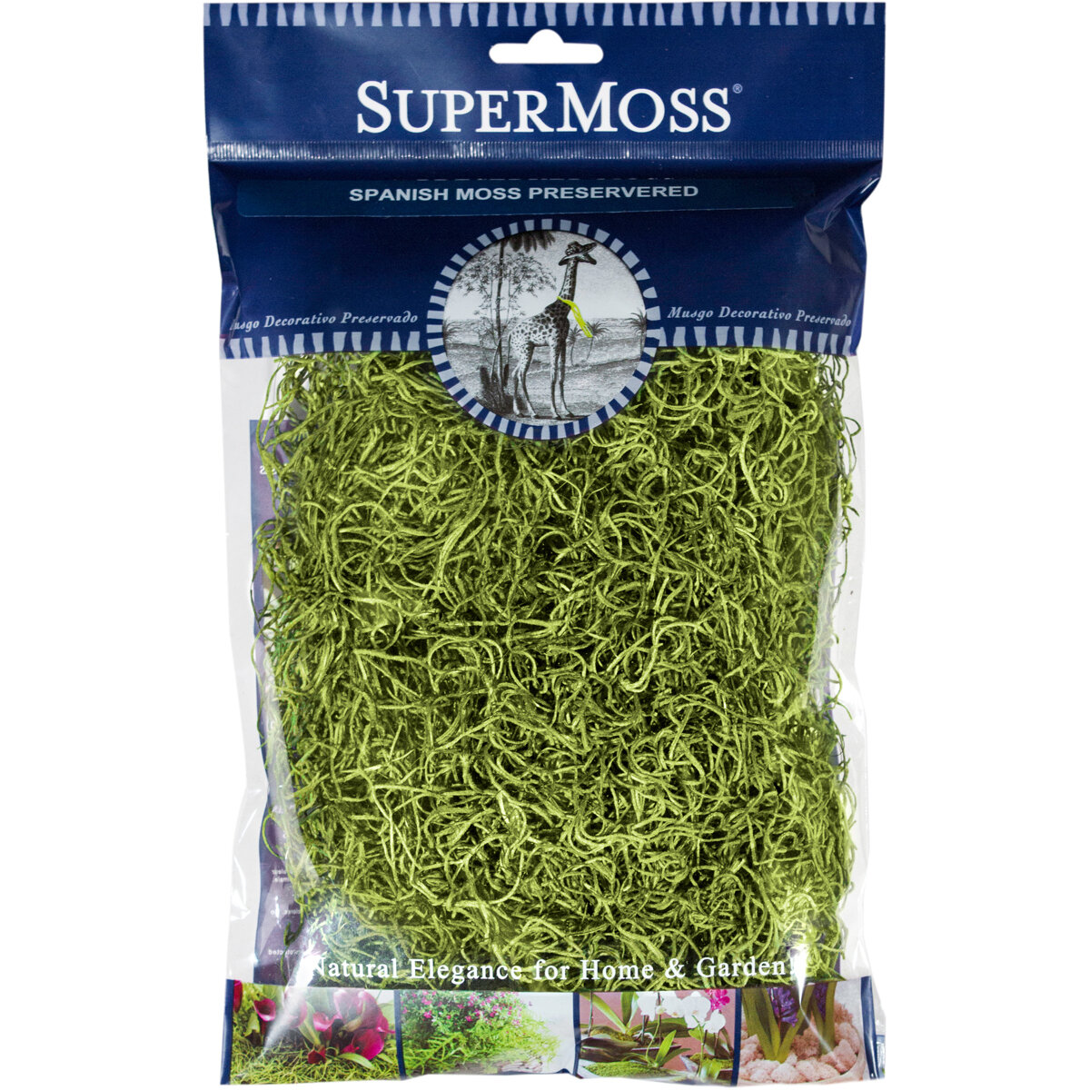 Spanish Moss Preserved Basil 2oz Bag