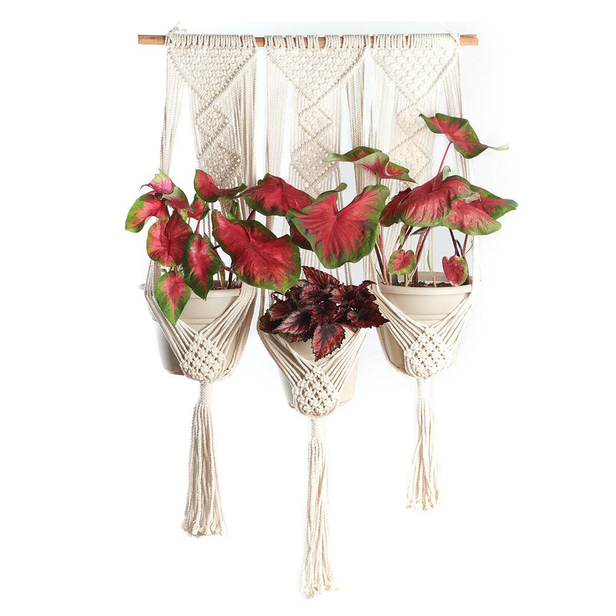 Triple Pot & Wall Hanger