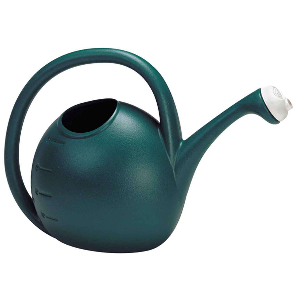 2 Gallon Watering Can Evergreen