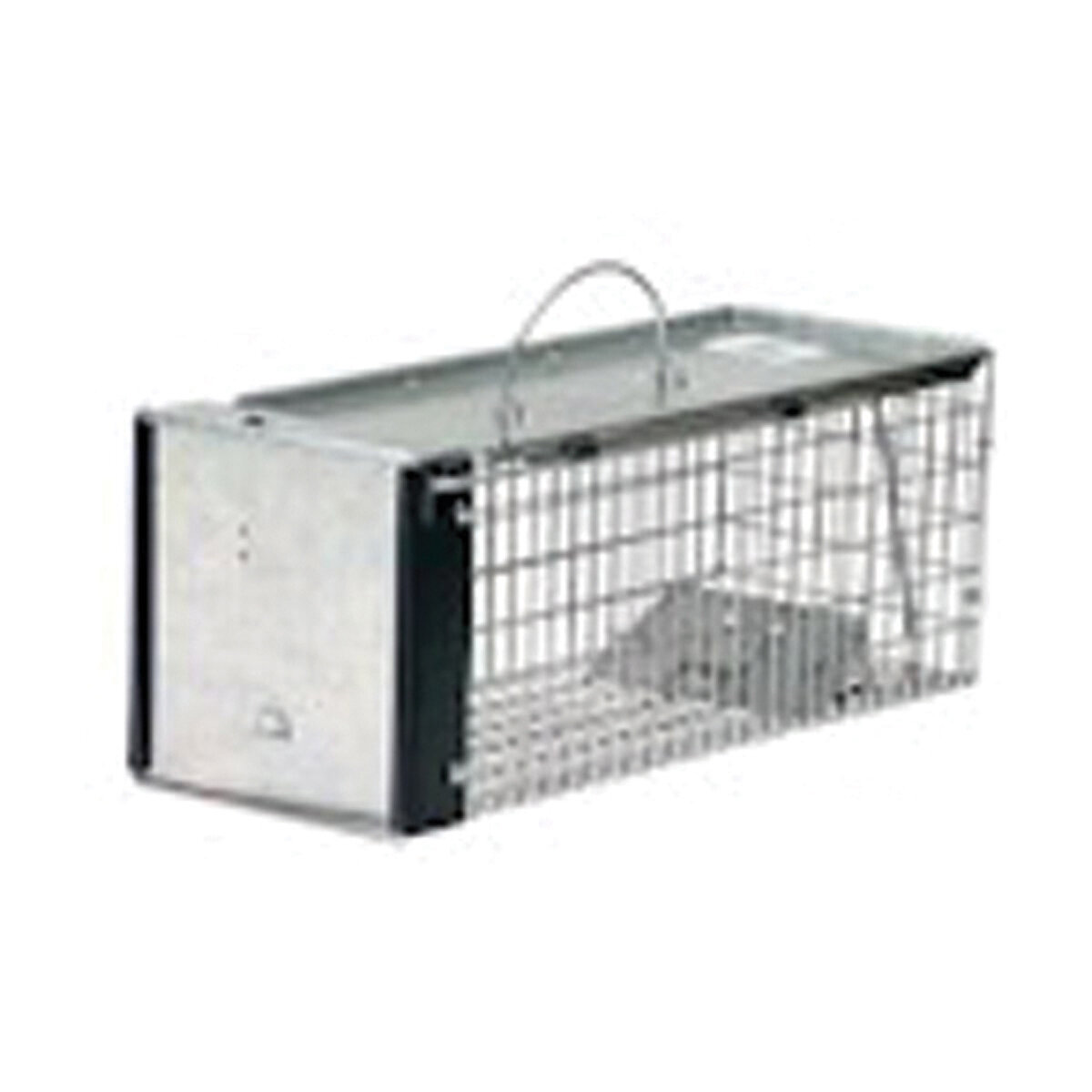 Chipmunk Trap - 1 Gravity Action Door