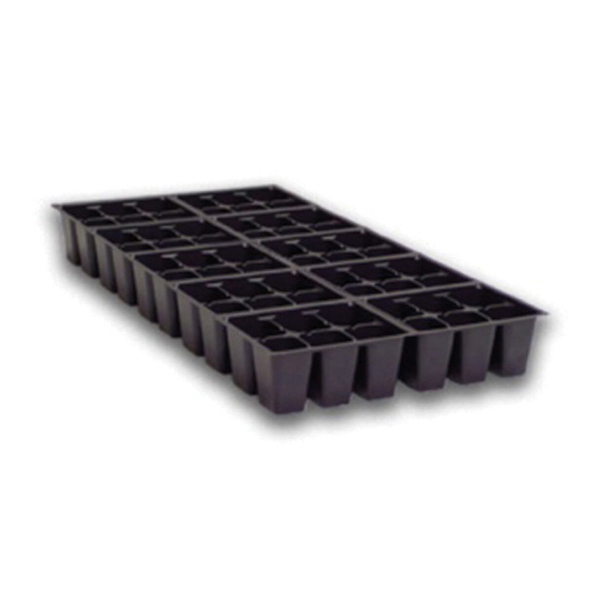 Plastic Insert 10 Unit X 6 Cell CS (100)