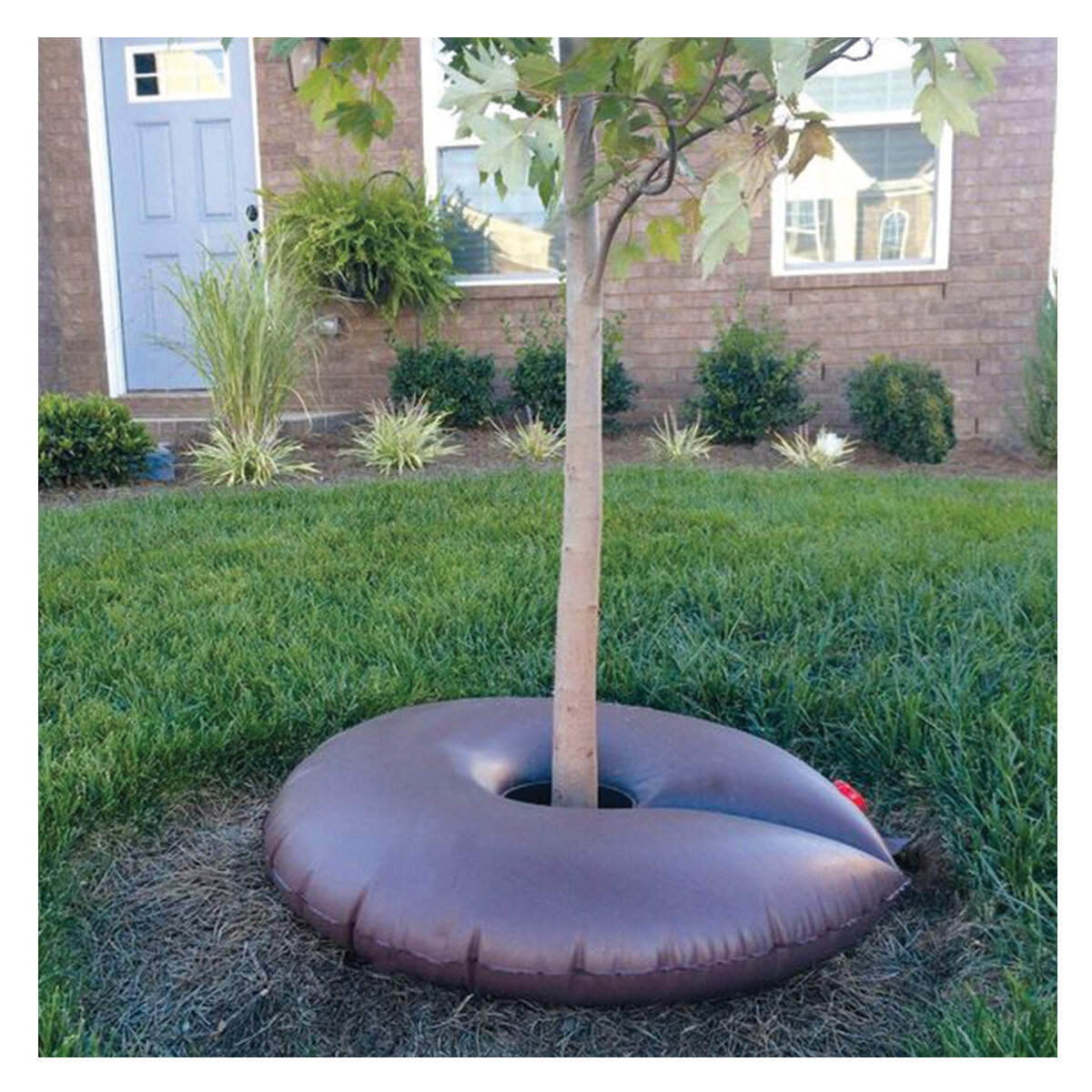 Dew Right Tree Water Bag Donut