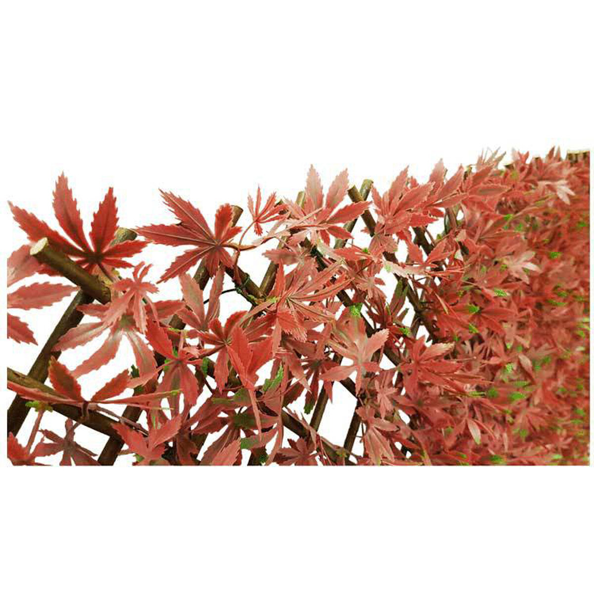 Japanese Maple Red Expandable Screen 6.7'X3.3'