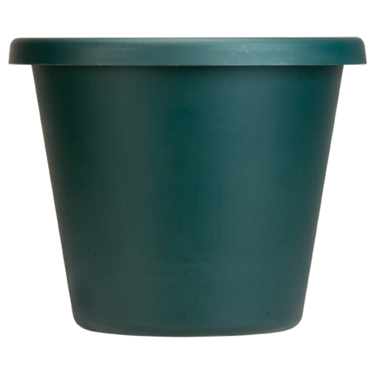 8" Classic Pot Evergreen