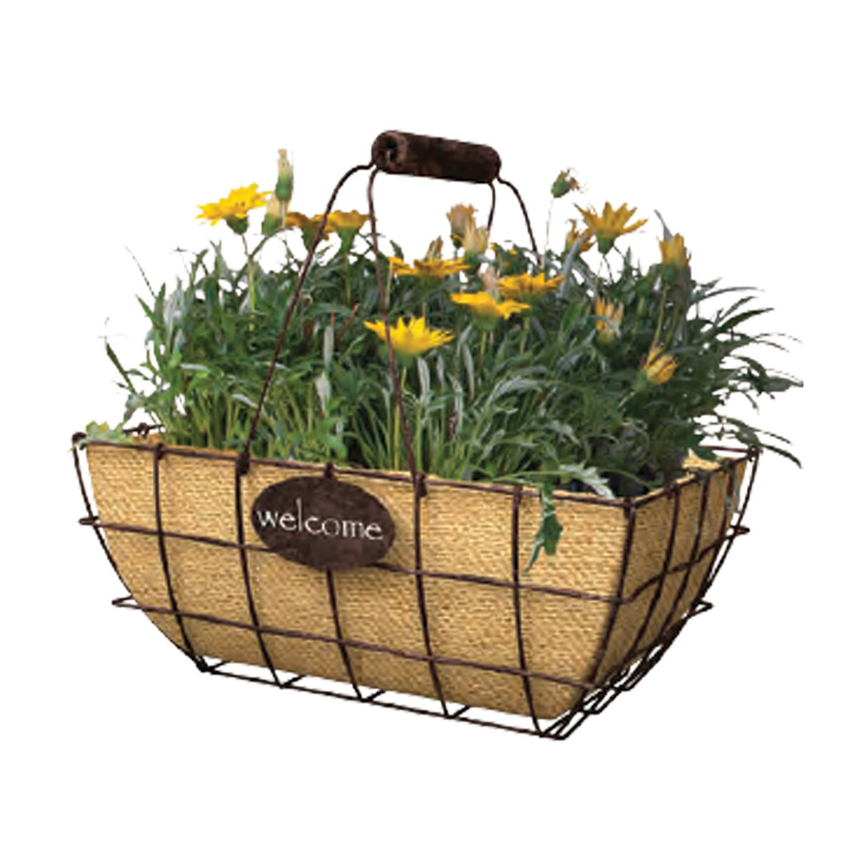 14" Welcome Basket with handle, rust