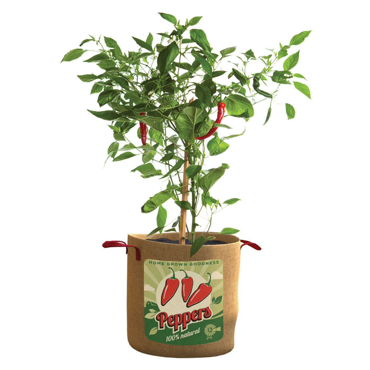 Peppers Grow Bag 10 Gal