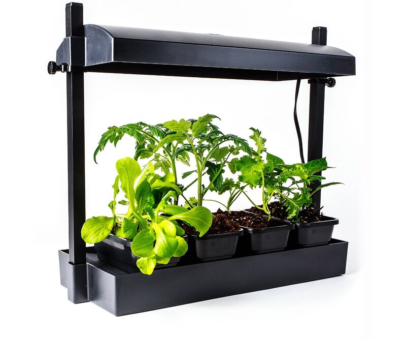 Growlight Garden Micro - Black - LED Growlight Garden Micro - Black - LED