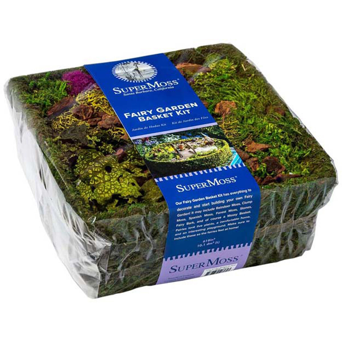 Fairy Garden Basket Kit Square 10in