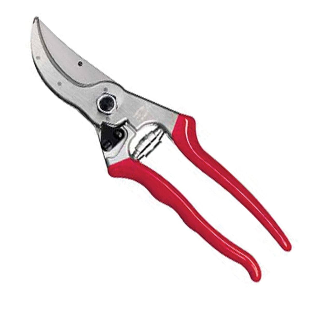 Felco Pruner #4
