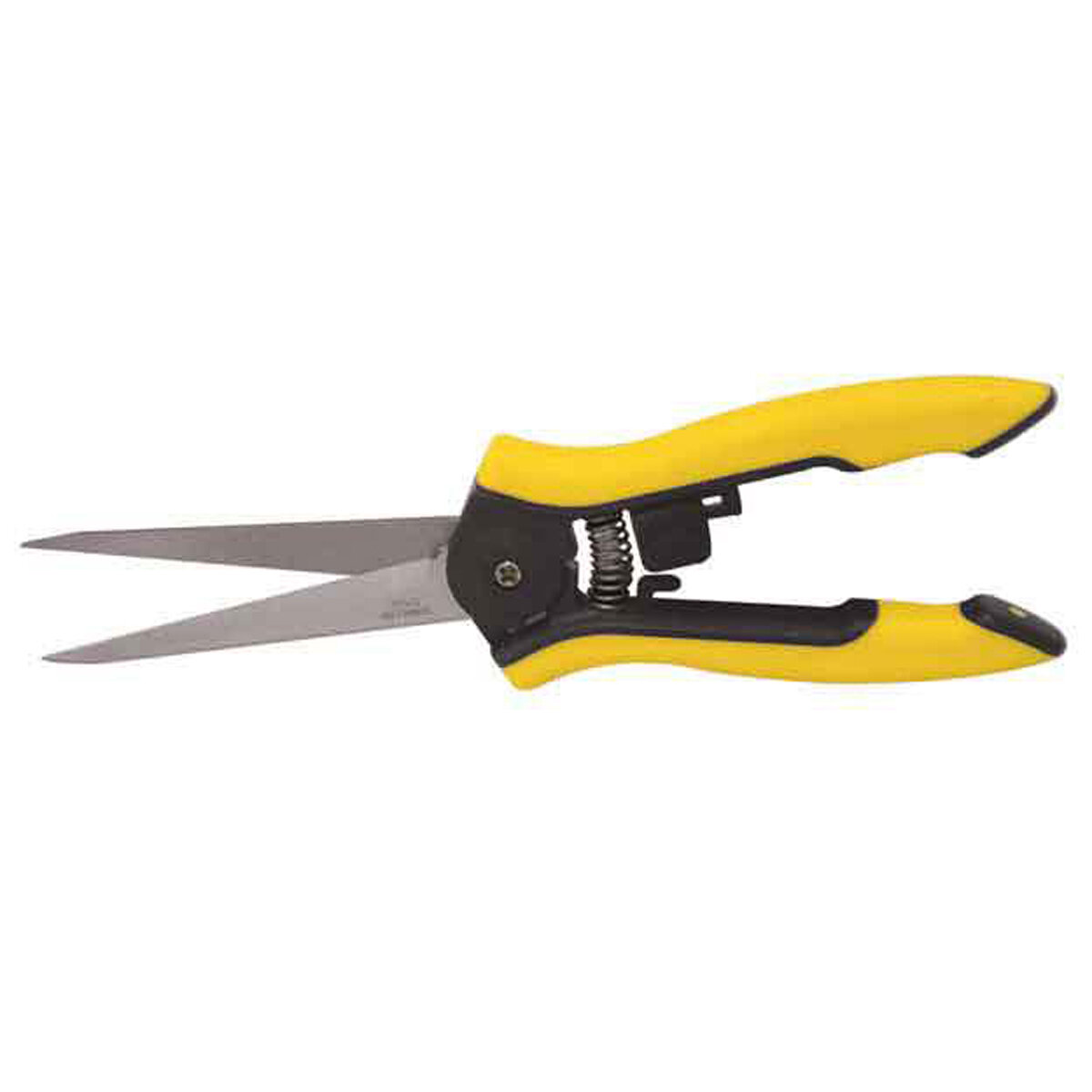Little Buddy Stainless Hydro Clippers