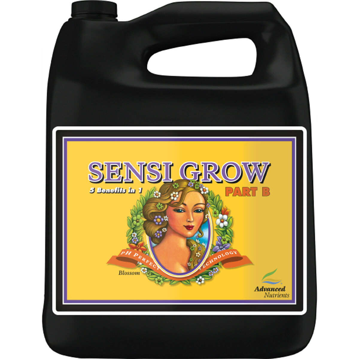 pH Perfect Sensi Grow Part B 4 L