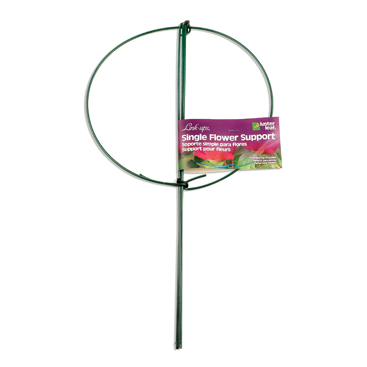 Linkups Medium Single Flower Support